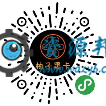 【微擎小程序】柚子黑卡小程序V3.6.1+分销插件v1.1.3+吃探插件V1.0.9，增加手机号授权功能-Ai搜码网