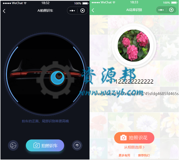 【微擎小程序】灵石AI识别大全小程序V3.0.0安装更新一体包+小程序前端，传图识字部分广告展示插图10
