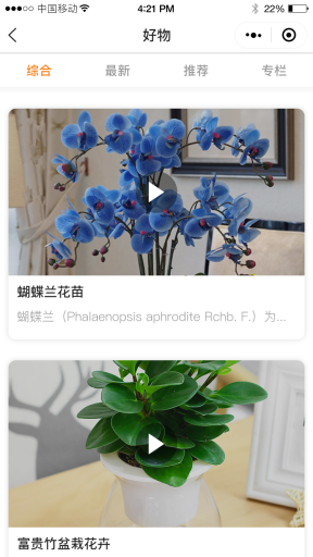 【微擎小程序】柚子门店微商城小程序V1.1.7前后端完整源码，增加到店支付余额支付插图4