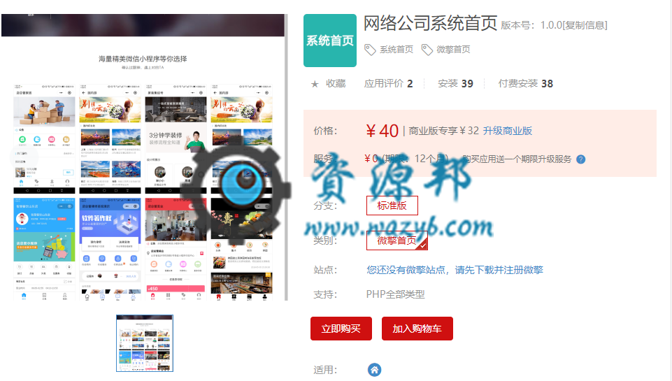 【微擎首页模块】网络公司系统首页V1.0.0原版微擎模块打包，一款非常漂亮的网络公司微擎首页模板插图