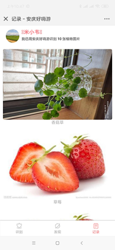 【公众号应用】植物识别V1.0.7安装更新一体包，修改数据库的BUG插图3