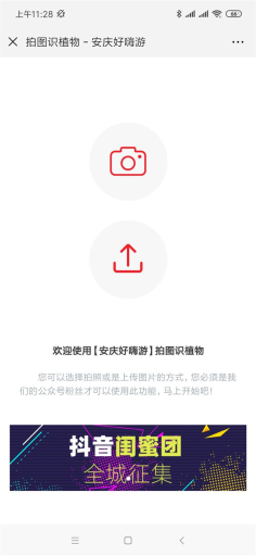 【公众号应用】植物识别V1.0.7安装更新一体包，修改数据库的BUG插图2
