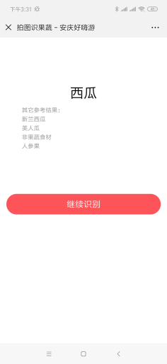 【微擎模块】果蔬识别V1.0.4原版模块打包，拍照或者上传果蔬图片，自动识别名称插图2