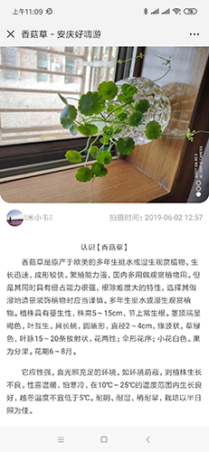 【公众号应用】植物识别V1.0.7安装更新一体包，修改数据库的BUG插图6