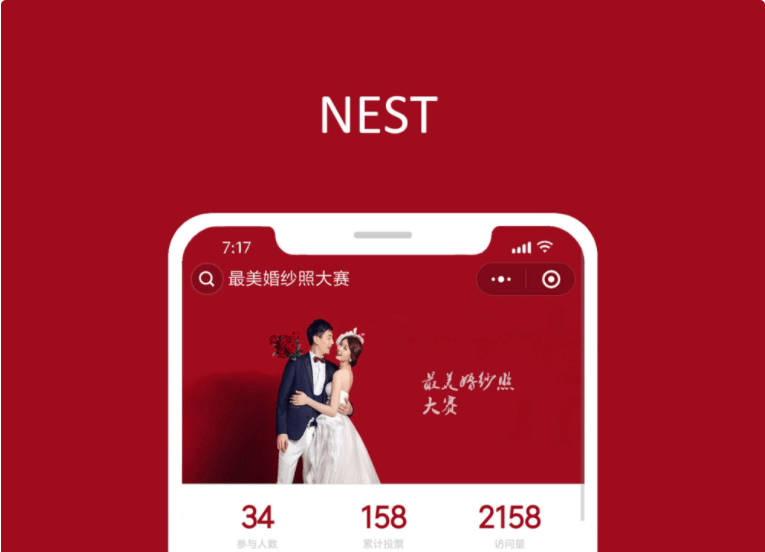 【微信小程序】NEST投票小程序V2.4.3安装包+小程序前端-Ai搜码网