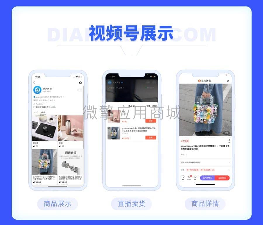 【独立版】点大商城V2_2.6.1商城小程序，优化微信小程序备案增加字段插图8