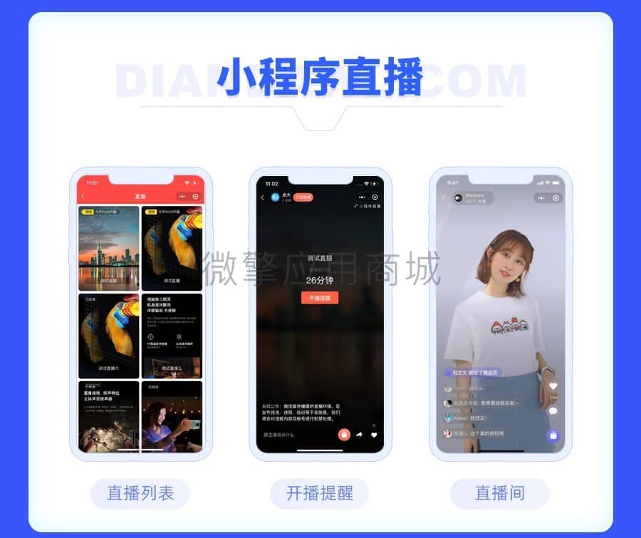 【独立版】点大商城V2_2.6.1商城小程序，优化微信小程序备案增加字段插图9