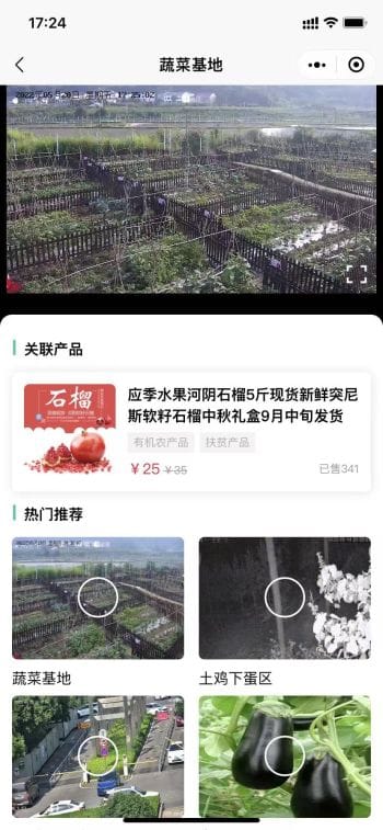 【独立版】智慧农场小程序，支持摄像头接入插图7